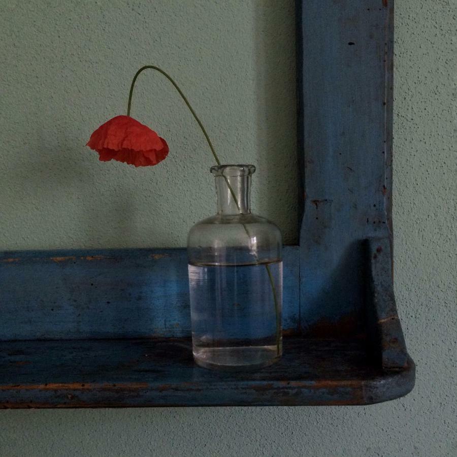 I Calleri Garden And Rooms Millesimo Bagian luar foto
